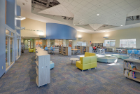 Widefield Grand Mountain