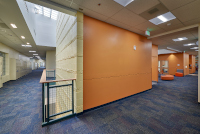 Widefield Grand Mountain